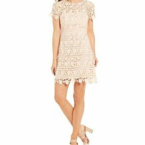 NWT Eliza J. CROCHET LACE OVERLAY CREW NECK WHITE SHEATH DRESS.  SZ 0P